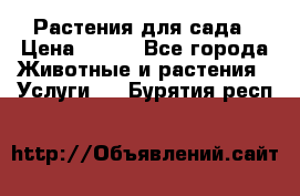 Растения для сада › Цена ­ 200 - Все города Животные и растения » Услуги   . Бурятия респ.